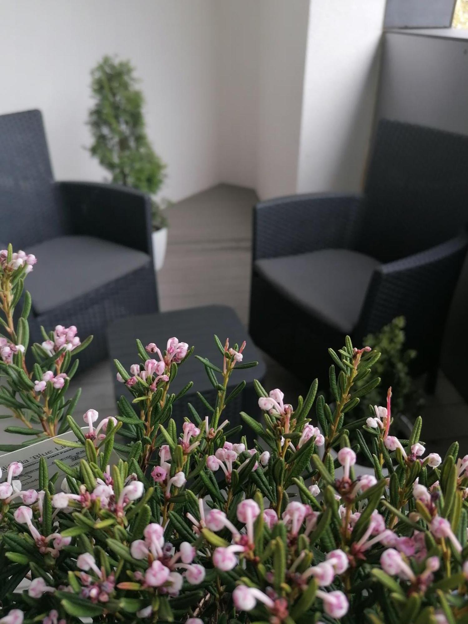 Szczecin Hanza Tower Apartment-Basen Luaran gambar